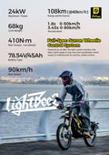 Light Bee 2 2006